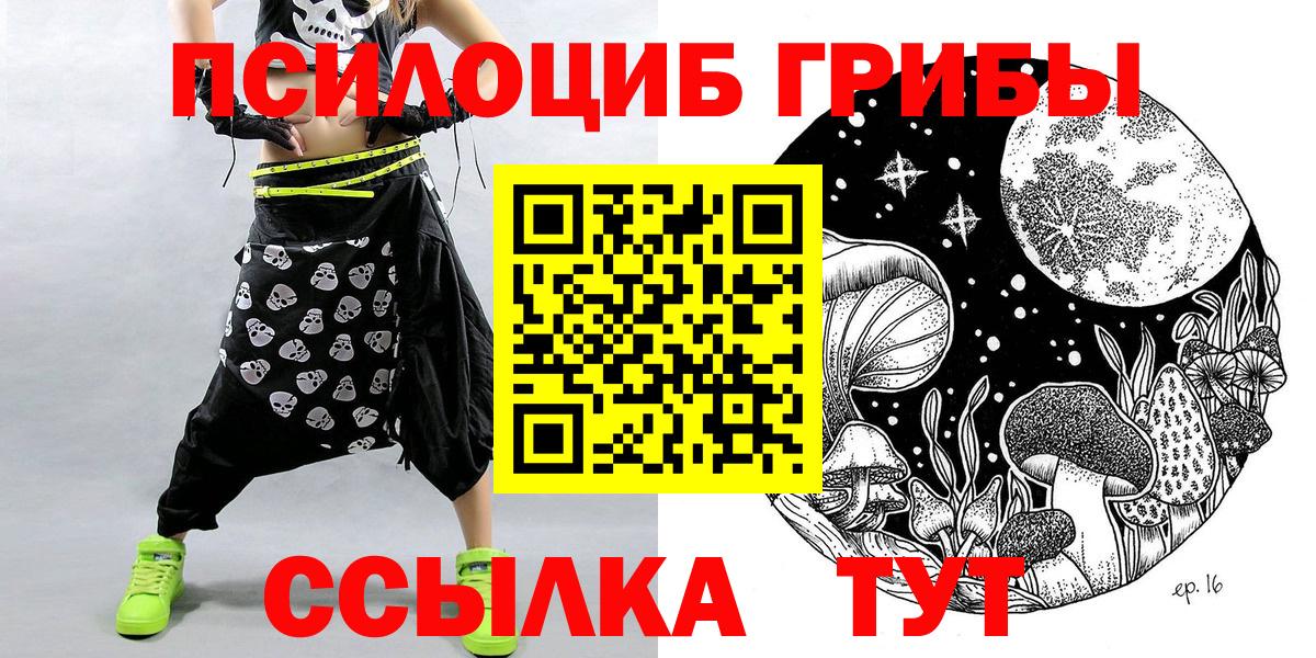 Чайковский  Галлюциногенные грибы Cubensis  Галлюциногенные грибы прущие грибы  Вход с VPN 